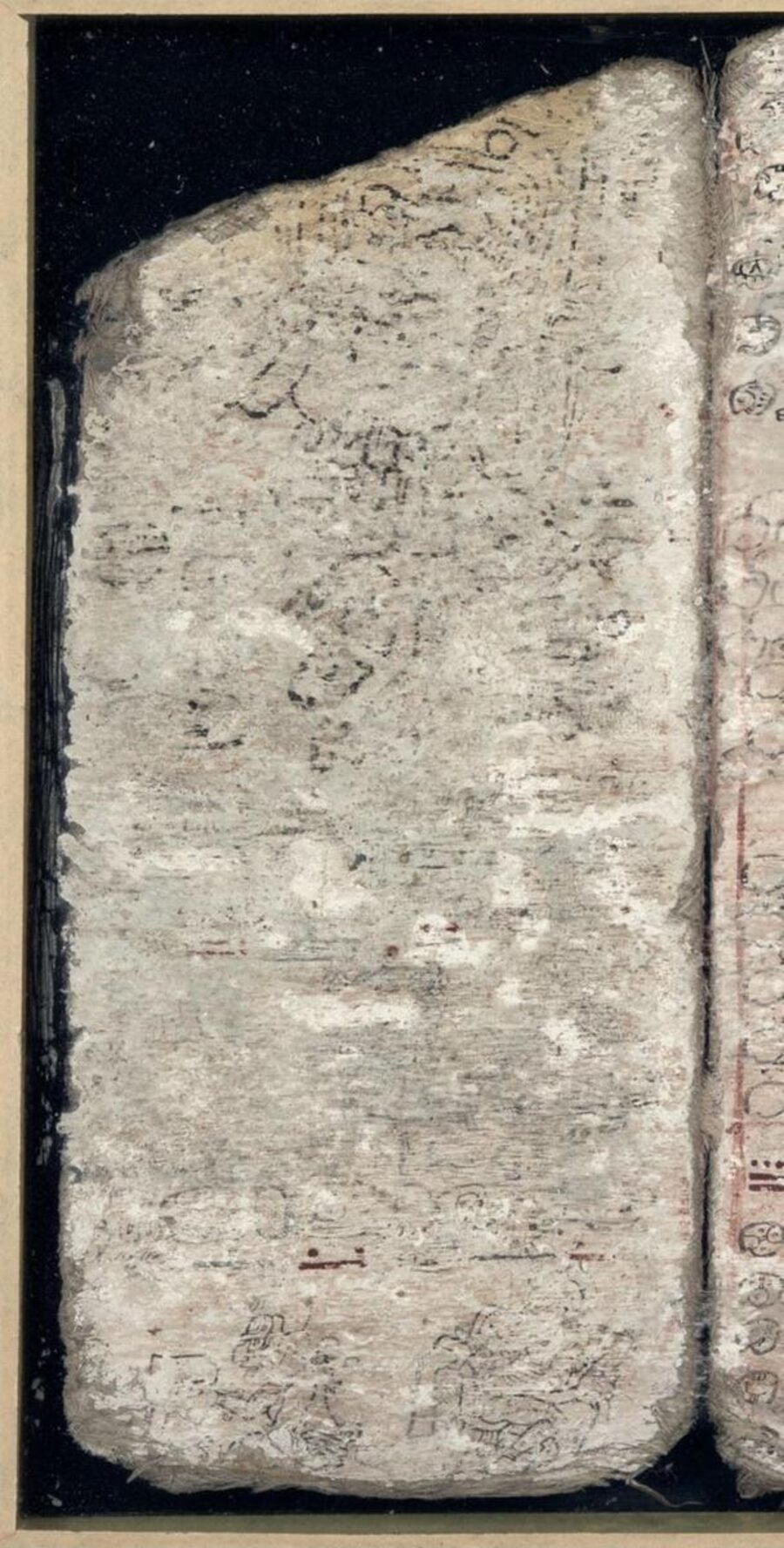 Дрезденский кодекс майя. Dresden Codex